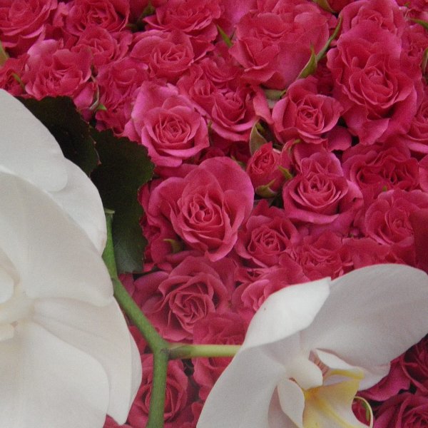 Trauerherz aus kleinblütigen rosa Rosen Bild 2